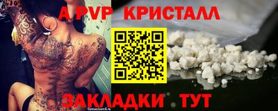 стафф Нальчик