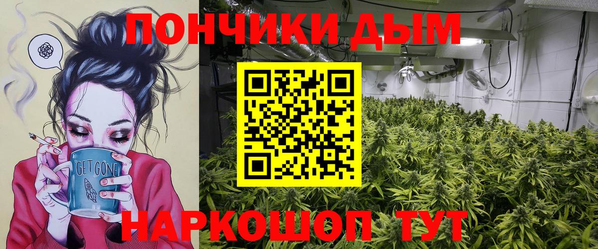Бошки Шишки сатива  Вход с VPN  Бошки Шишки VHQ  Шишки марихуана THC 21%  Сунжа 