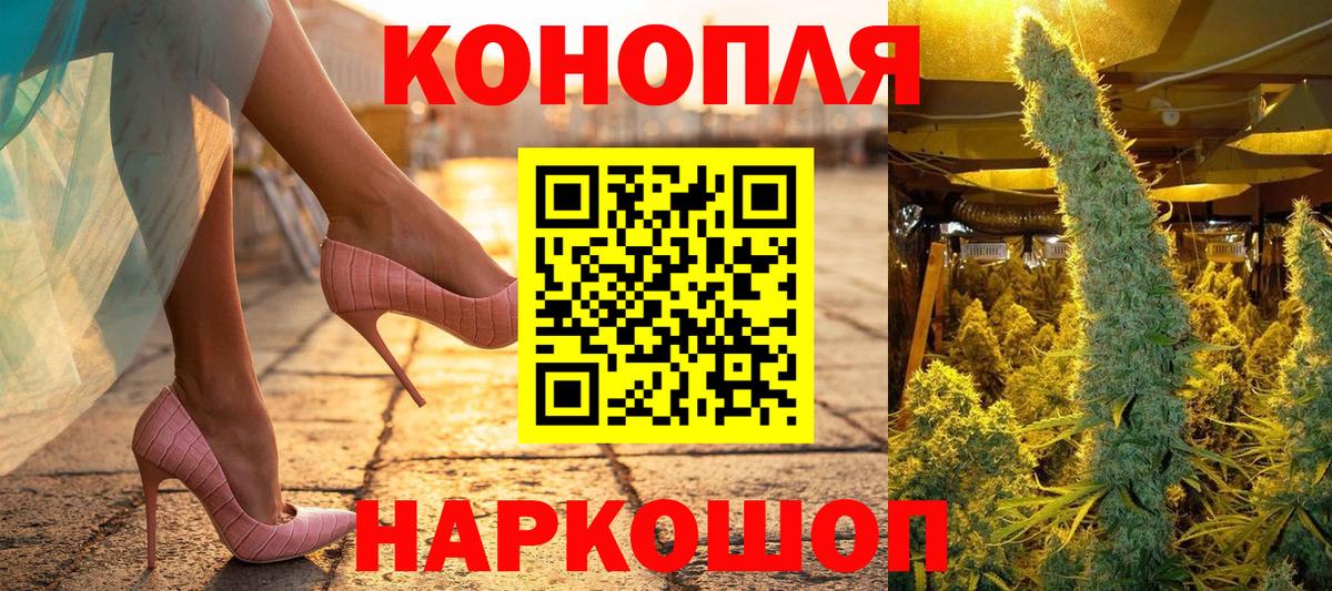 Бошки марихуана конопля Сунжа